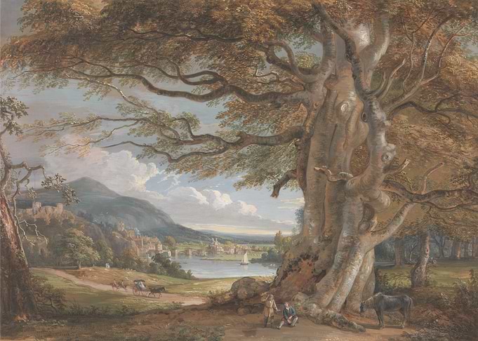 Landscape with Large Tree