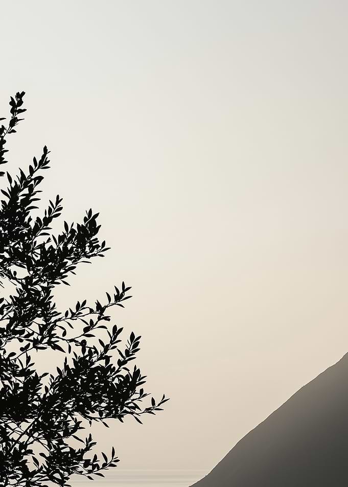 Silhouette of a Tree