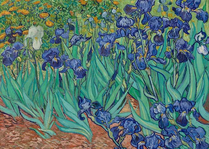 Irises by Van Gogh