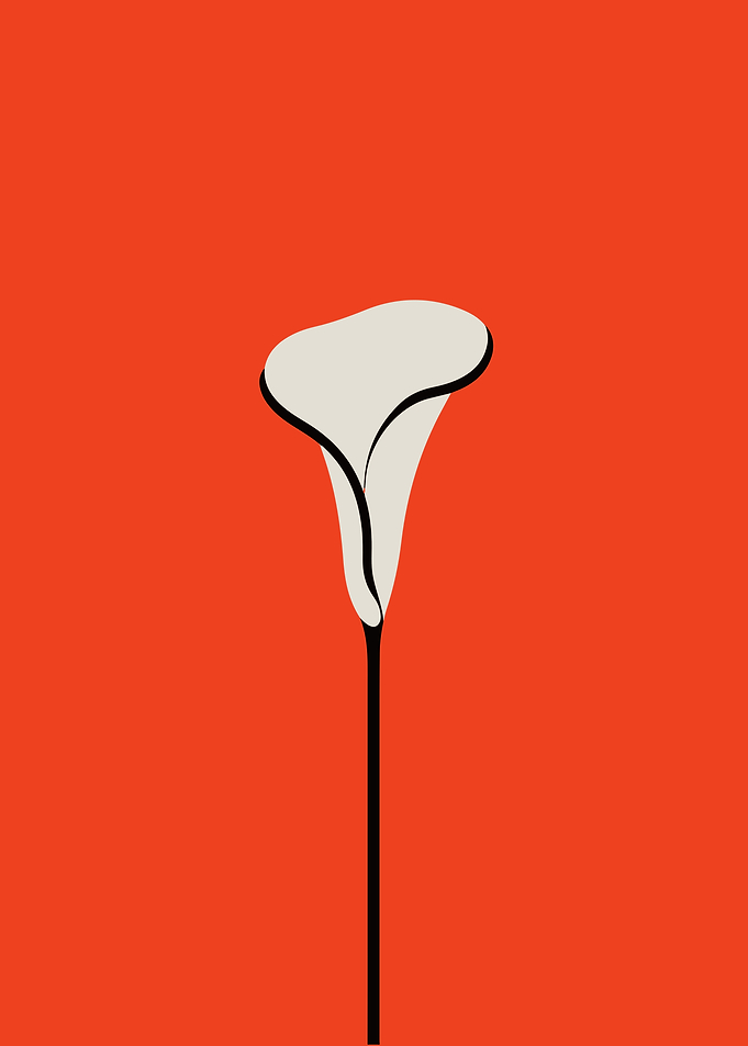 Minimalist White Calla Lily on Red
