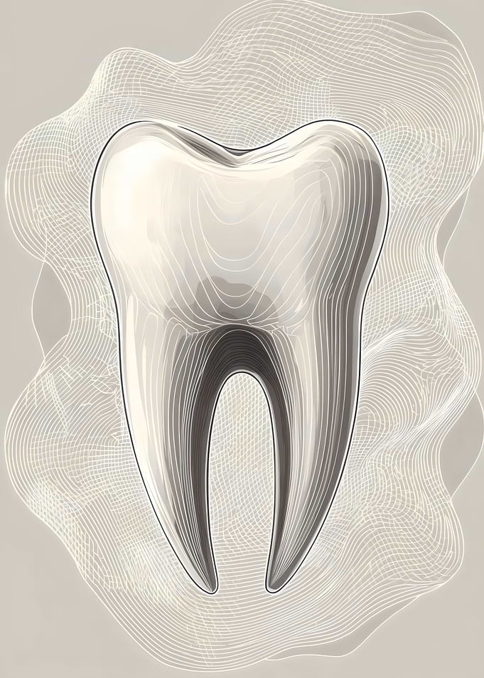 Graceful Tooth Contour