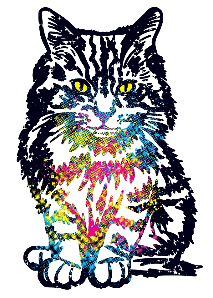 Cat Space