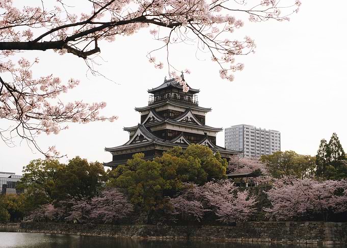 Japanese Castle with Cherry Blossoms