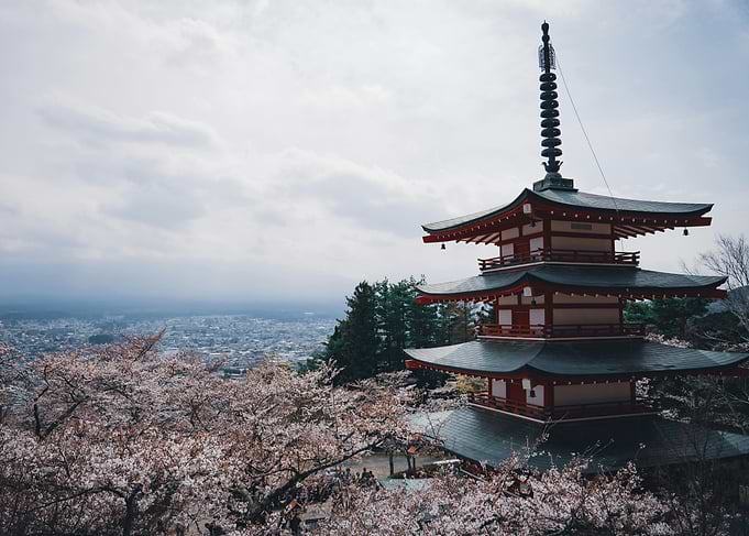 Japanese Pagoda with Cherry Blossoms