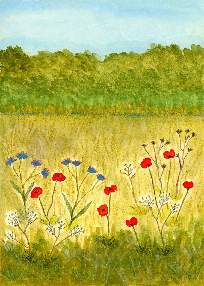 Wild Meadow Watercolor Wildflowers