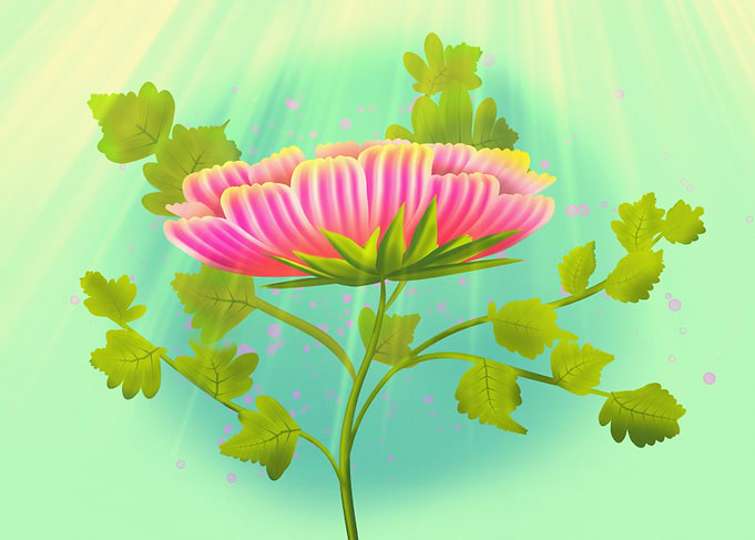 Radiant Pink Bloom