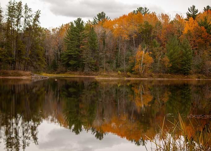 Autumn Reflections on the Sturgeon River in Michigan