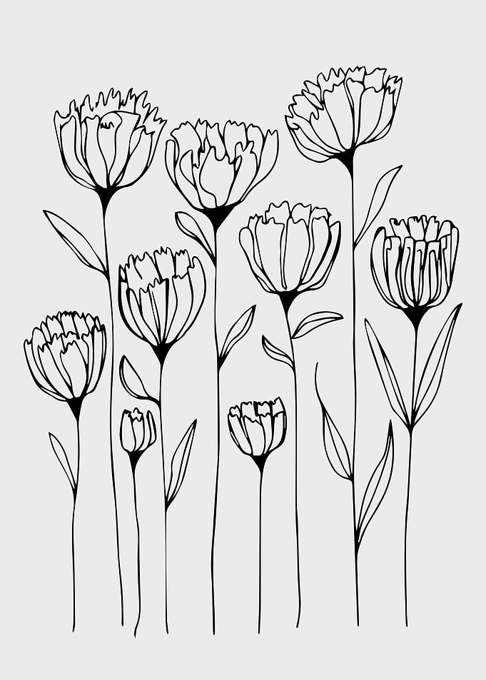 Delicate Wildflower Line Art Illustration