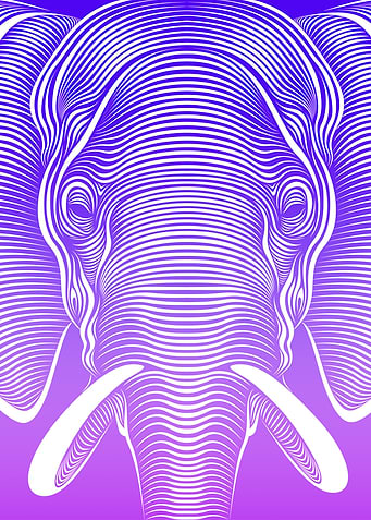 Elephant Line Art