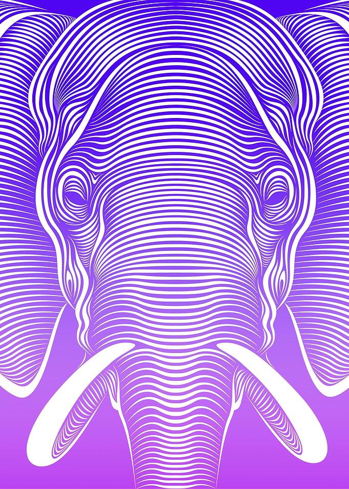Elephant Line Art