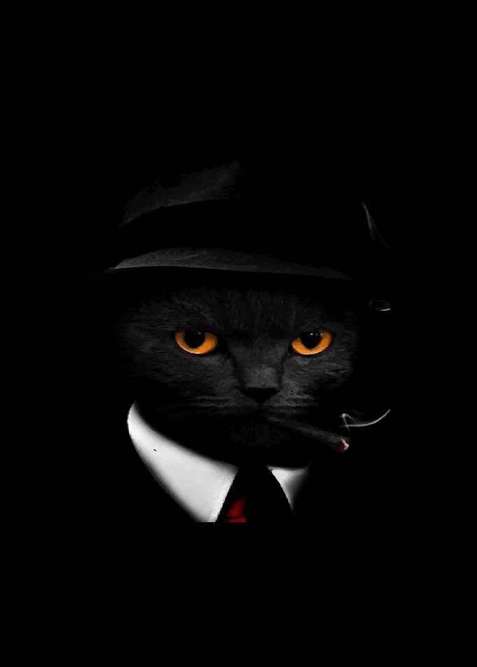Cool Cat in Suit