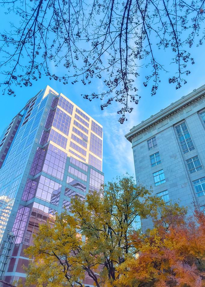 Cityscape with Fall Foliage