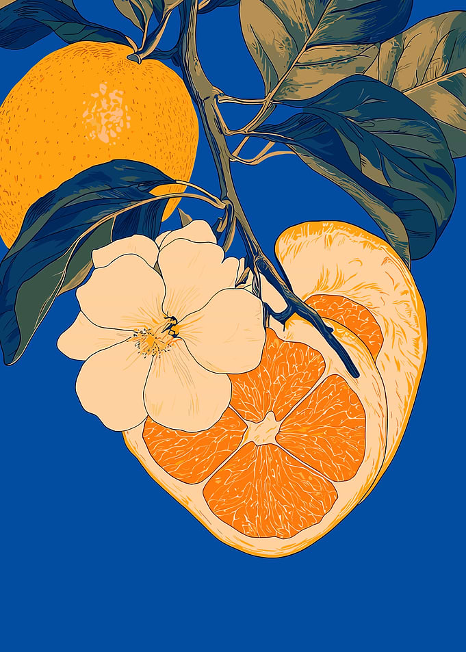 Orange Blossom Illustration