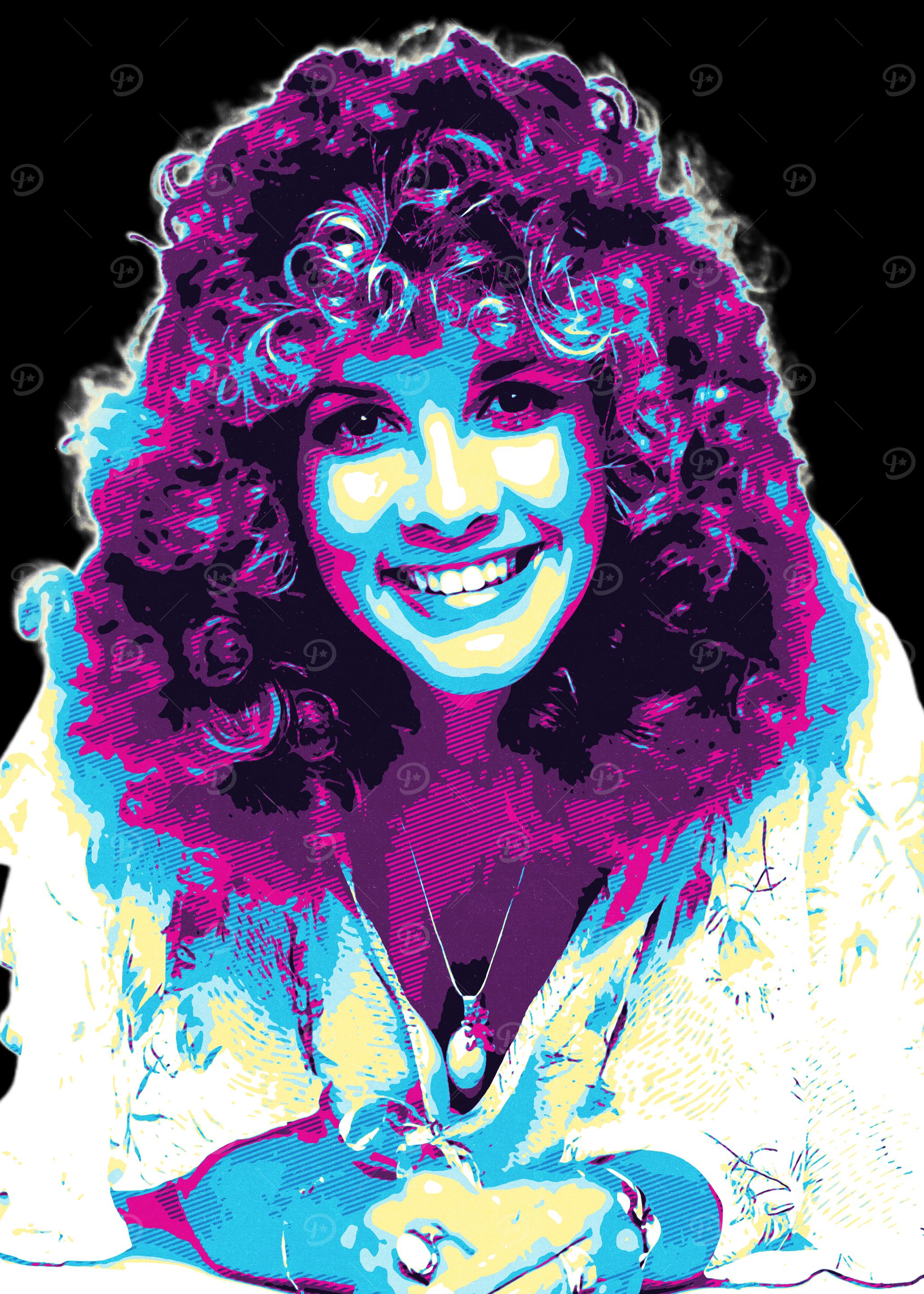 Stevie Nicks Retro Style