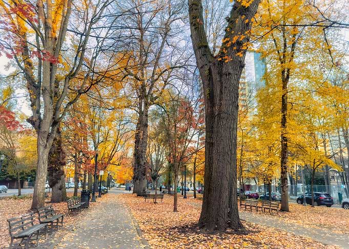 Autumn Portland Park
