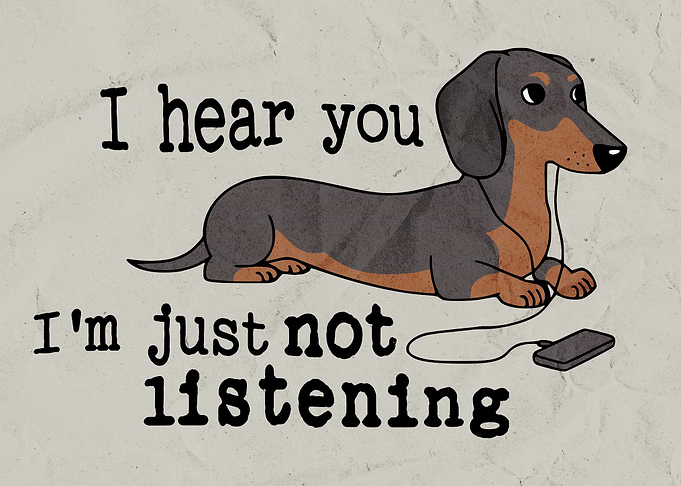 Funny Dachshund Poster