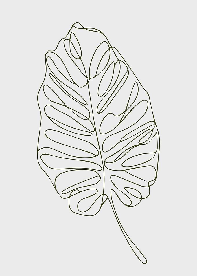 Minimalist Monstera Leaf Single Line Drawing