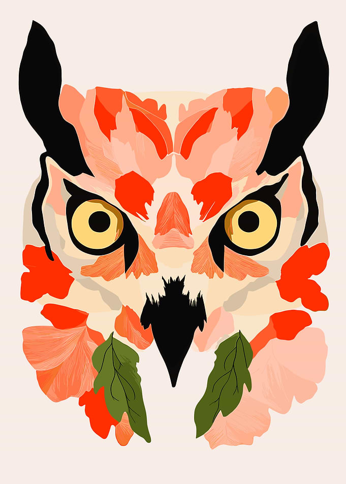 Floral Owl Illustration