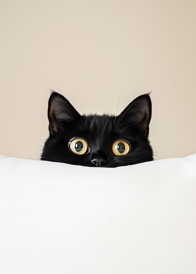 Black Cat is Spying on Us