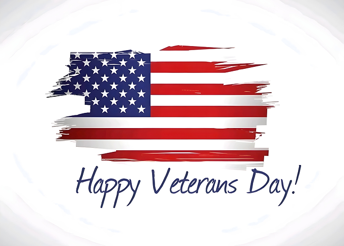 Veterans Day Flag
