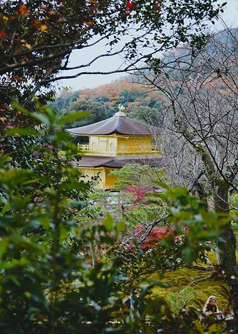 Golden Pavilion in Autumn