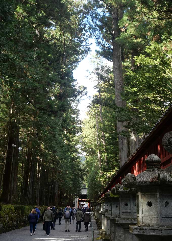 Japanese Shrine Pathway