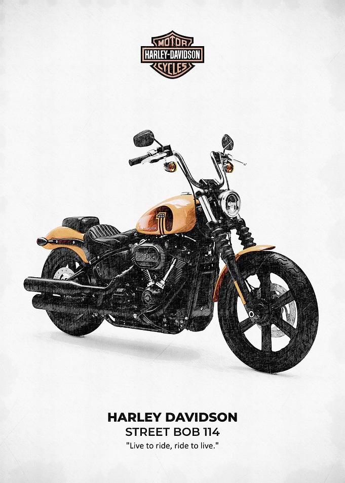 Harley Davidson Street Bob 114