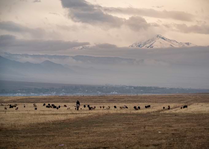 Shepherd and Sheep in Mountain Landscape