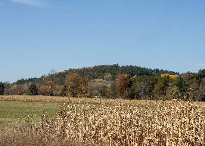 Autumn Cornfield Landscape