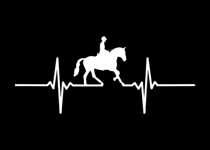 Horse Racing