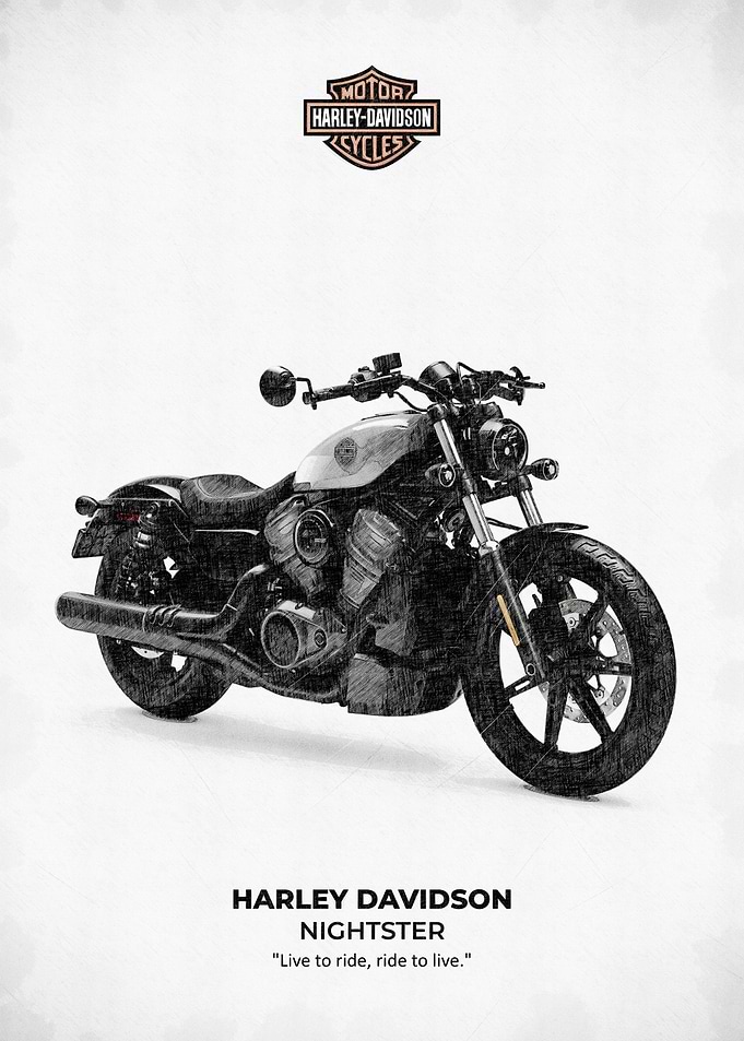 Harley Davidson Nightster Motorcycle