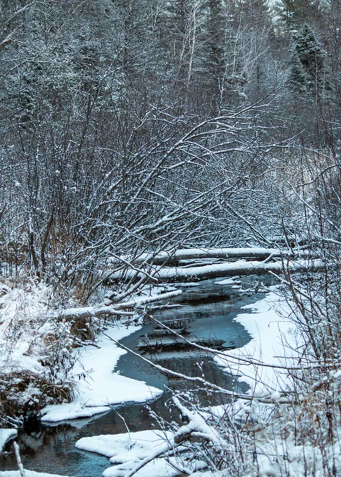 Snowy Creek in Winter Forest