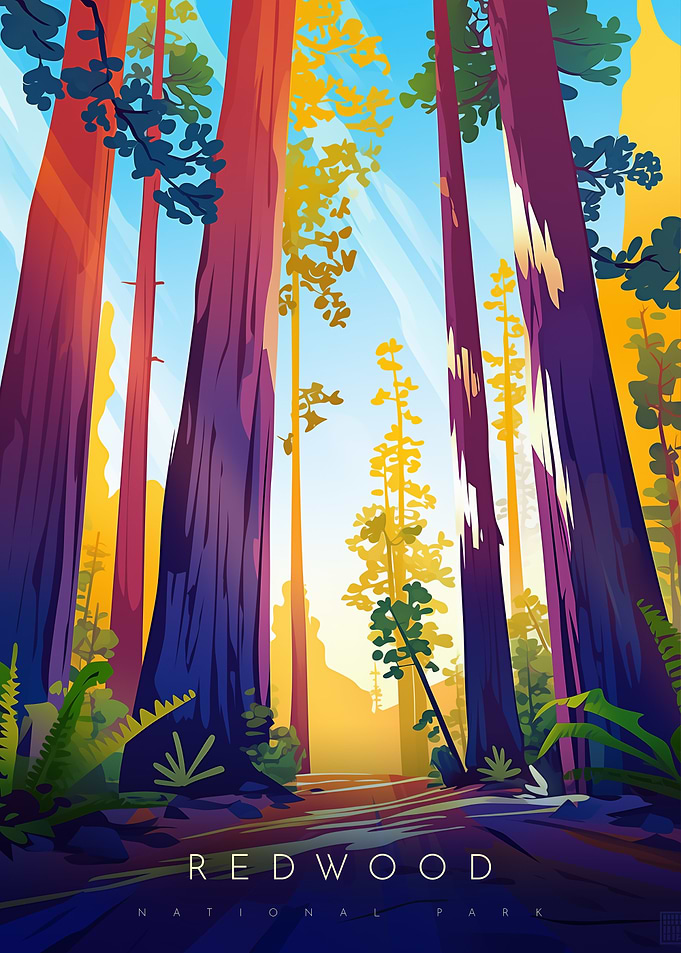 Redwood National Park