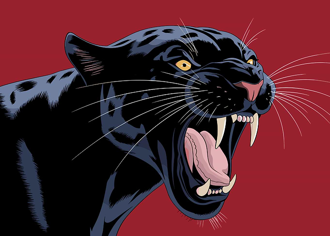 Black Panther Roar