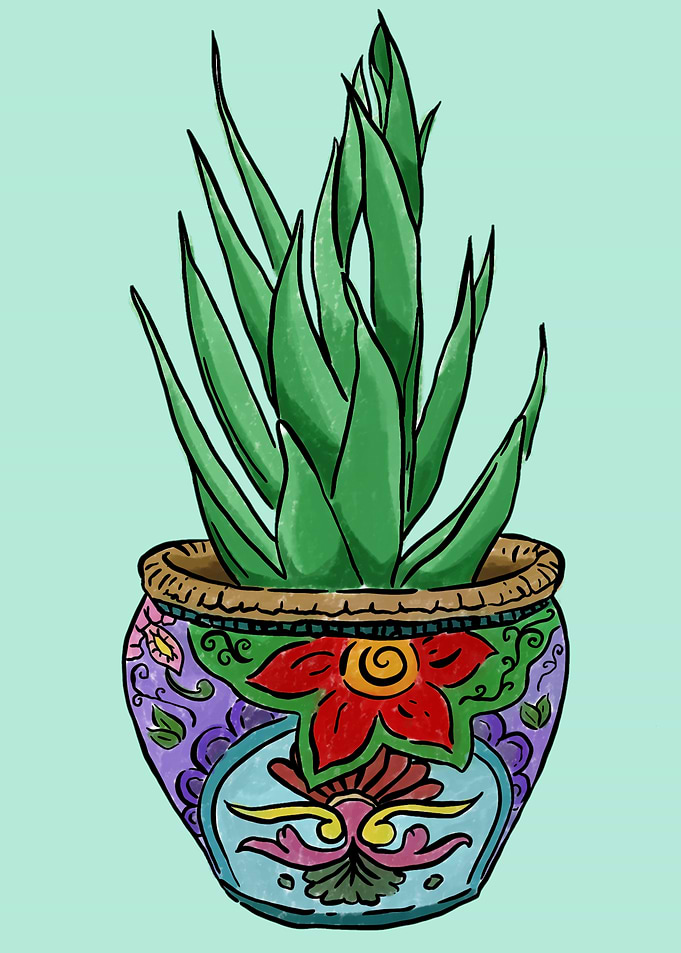 Potted Plant
