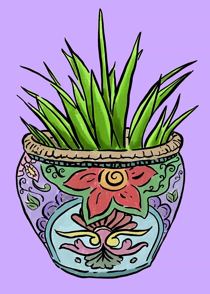Potted Plant