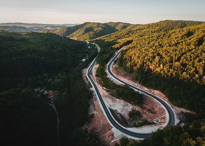 Winding Road Through Forest