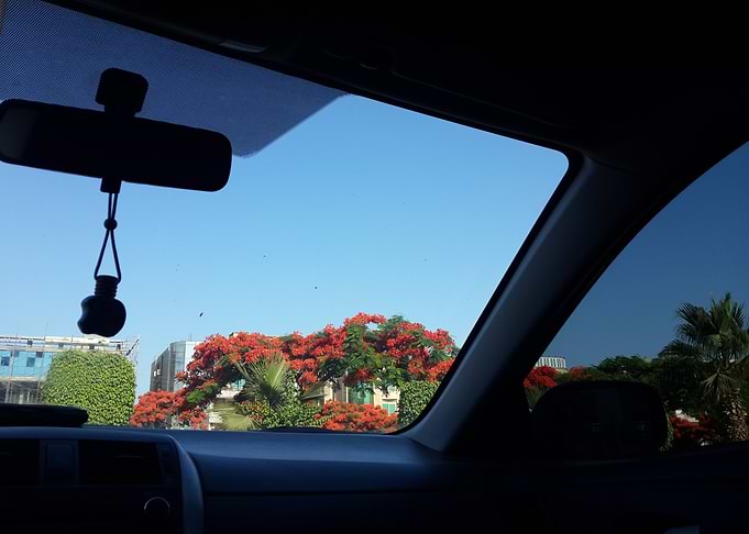 Car Window View