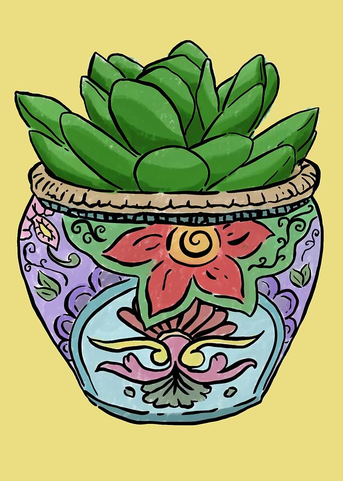 Plant in a Pot