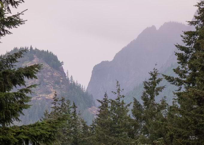 Misty Mountain View