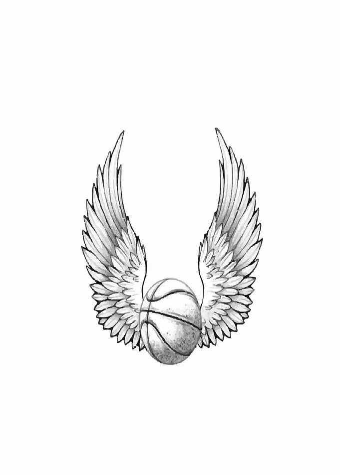 Basketball Wings
