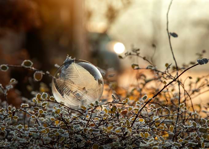 Frozen Feather in a Bubble
