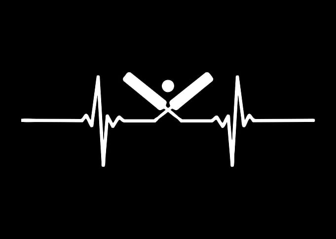cricket