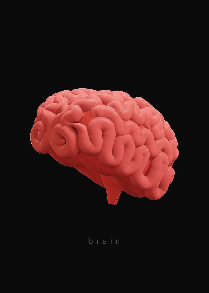 Pink Brain Illustration