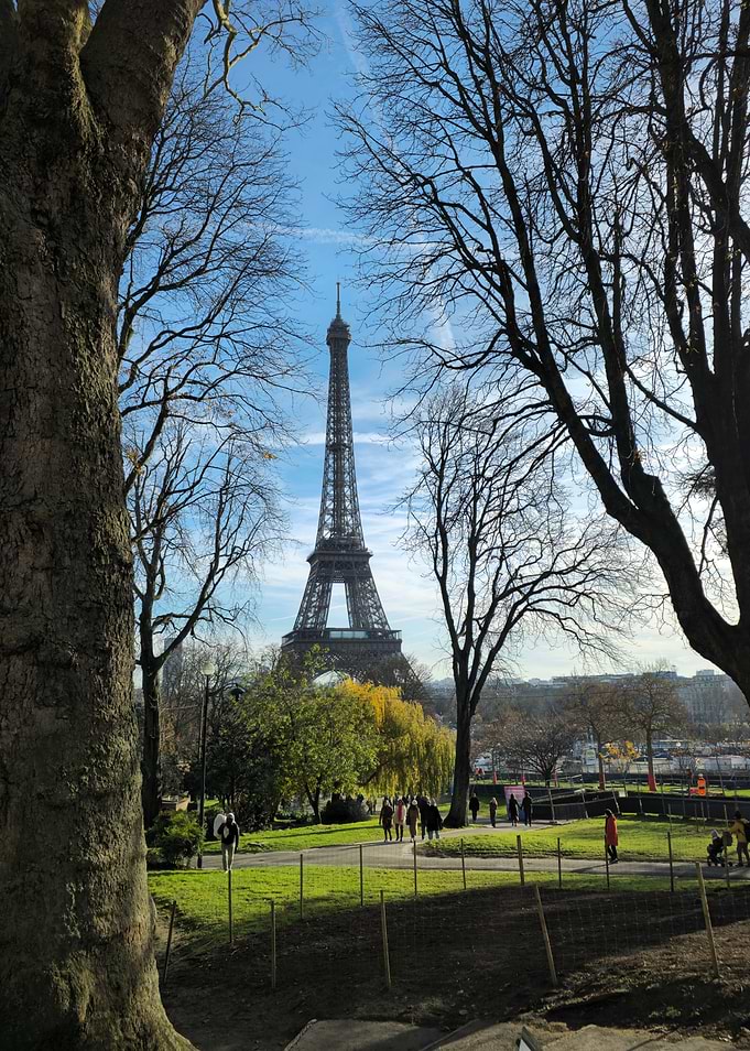 Eiffel Tower View
