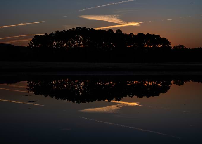 Silhouetted Trees at Sunset