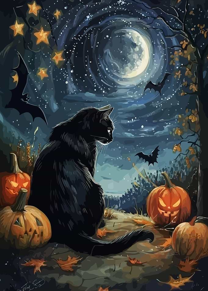 Black Cat Halloween Night