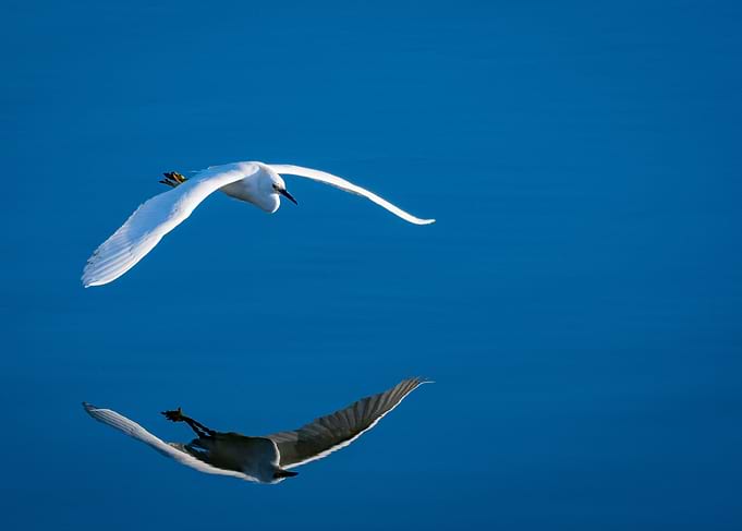 Reflections in Flight