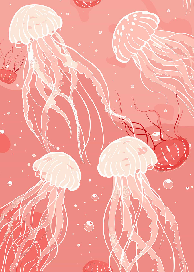Pink Jellyfish Illustration