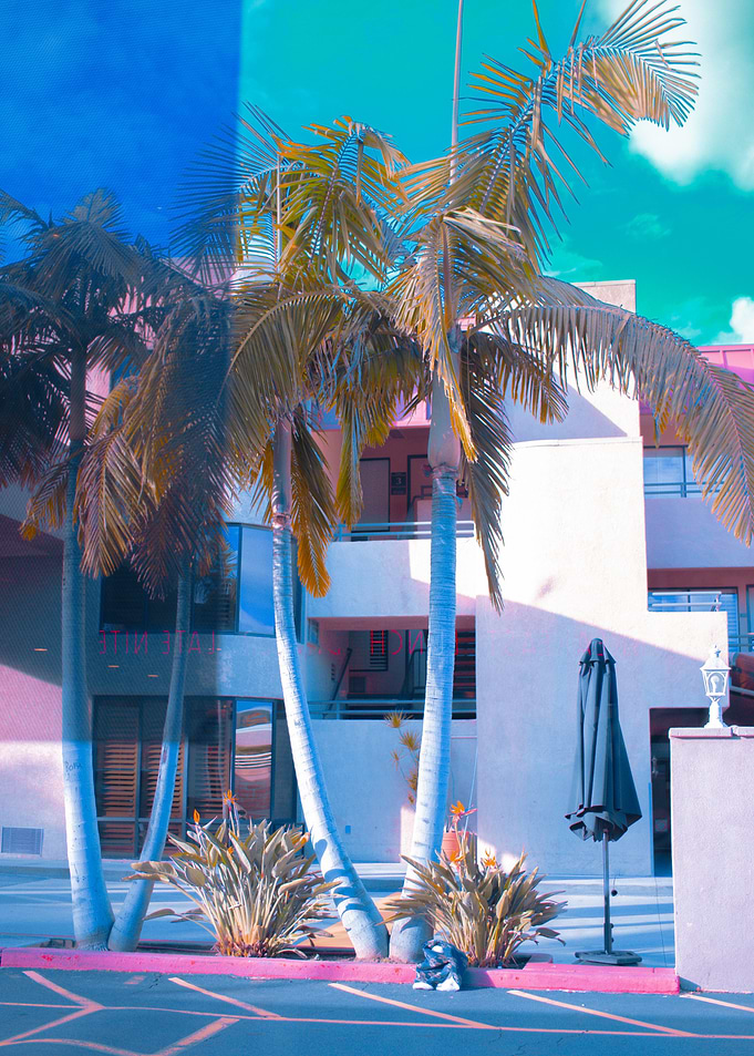 Palm Trees & Pastel Motel